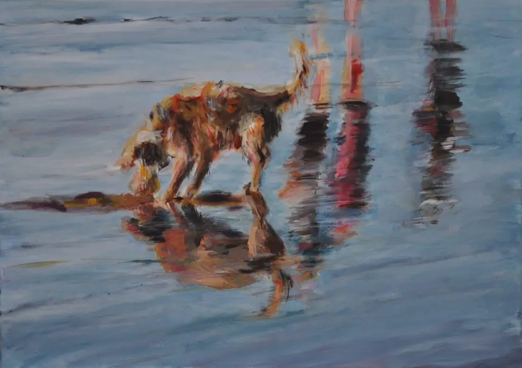 Hund am Atlantik